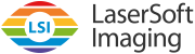 LSI Logo